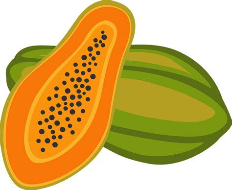 Papaya Clipart Images .